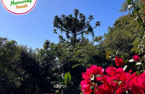 Puerto Iguazu Hotel | Mainumby- Colibri Posada