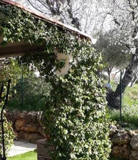 Lorgues House | maison 2 ou 4 personnes jardin parking LES AMANDIERS