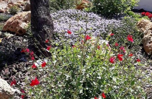 Lorgues House | maison 2 ou 4 personnes jardin parking LES AMANDIERS