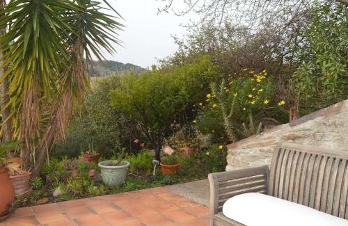Banyuls-sur-Mer House | Maison 3 pièces avec jardin, BBQ, animaux admis à Banyuls-sur-Mer - FR-1-225C-74