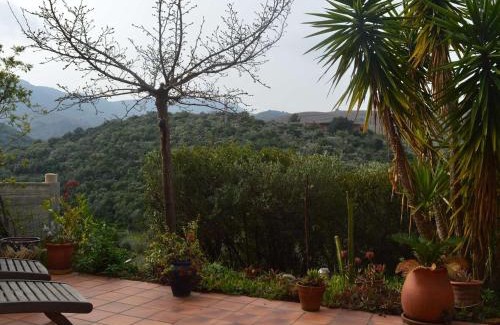 Banyuls-sur-Mer House | Maison 3 pièces avec jardin, BBQ, animaux admis à Banyuls-sur-Mer - FR-1-225C-74
