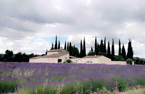 Richerenches House | Maison 70m2 privatisée Provence avec piscine & jardin