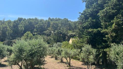 Les Baux-de-Provence House | maison aux Baux de Provence