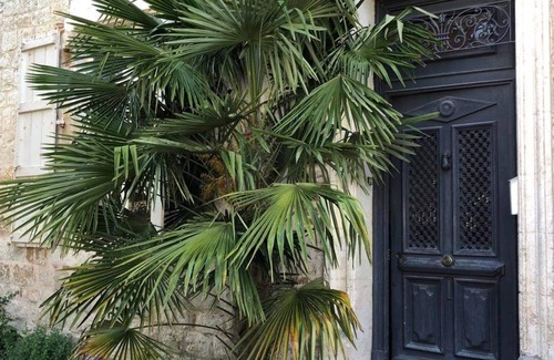 Penne-d'Agenais House | Maison de Maître sur le Lot
