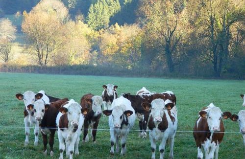 Verthier Bed & Breakfast | maison de marie