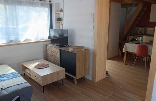 Moliets-et-Maa House | Maison de Vacances Sous les Pins