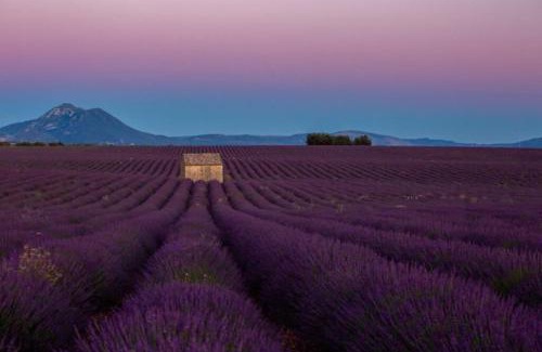 Valensole House | Maison de village avec terrasse