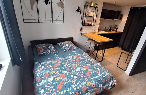 Trevoux House | Maison de Ville Climatisée "Le Figuier" Tout Confort