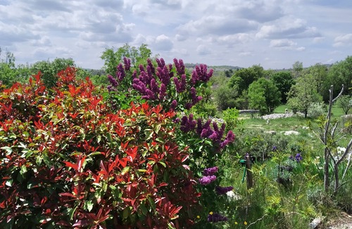 Montdardier House | Maison en Pleine Nature Avec vue sur les Lamas et les Ânes