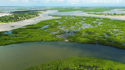 Fatick Villa | Maison flottante SWEET MALBALY - chambre double - vue imprenable sur mer- iles du saloum