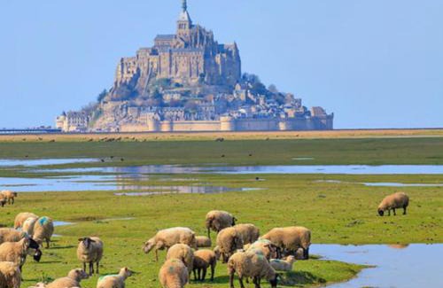 Marcilly House | Maison 70m2, 20min du Mont-St-Michel wifi