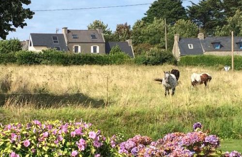 Plouguerneau House | Maison lumineuse entre mer et campagne 6 personnes