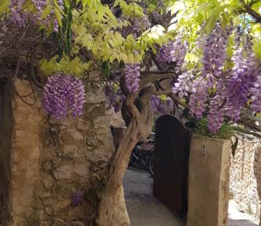 Bauduen House | Maison Provençale