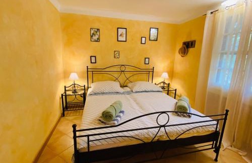 Seillans House | Maison typique Provençale