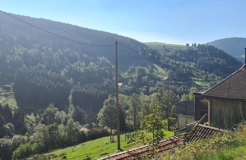 Ventron Apartment | Maison Ventron, 1 pièce, 2 personnes - FR-1-589-471