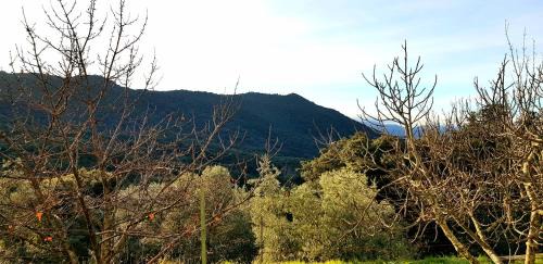 Santa-Maria-Siche Apartment | Maison village Corse