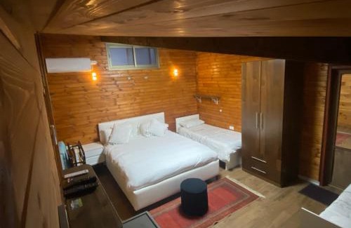 Majdal al-Shams Apartment | Majdal Shams/989 Apartment