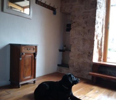 Nerezise House | Makina
