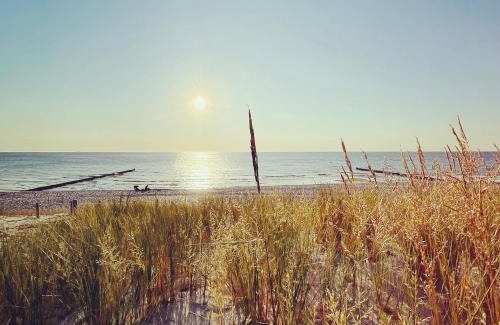 Ostseebad Ahrenshoop Apartment | Malergarten 23