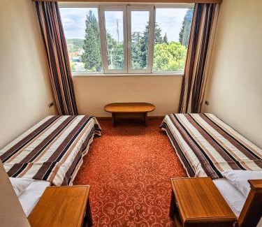 Podgorica Hotel | Mali Hotel BaMBiS
