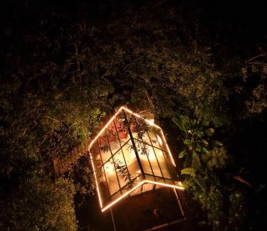 La Fortuna Hotel | Mali's House