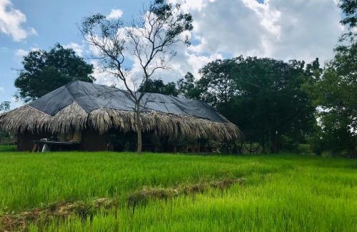 Mattala Other | Mallara RestSafari (Cabana & Family Restaurant)