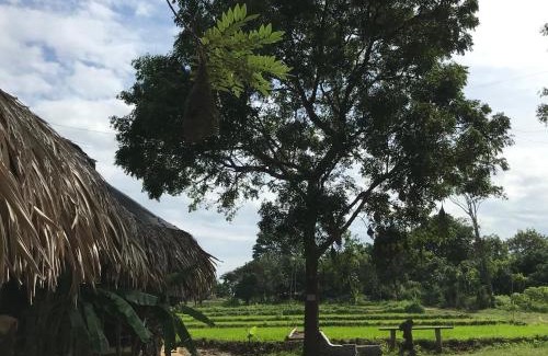 Mattala Other | Mallara RestSafari (Cabana & Family Restaurant)
