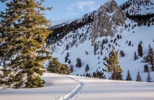 Mammoth Lakes Apartment | Mammoth View Villas 30