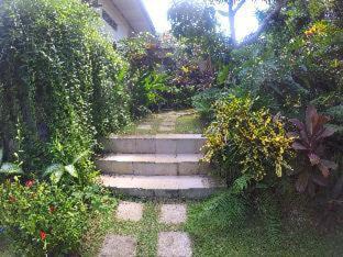 Uluwatu Hotel | Mamo Hotel Uluwatu
