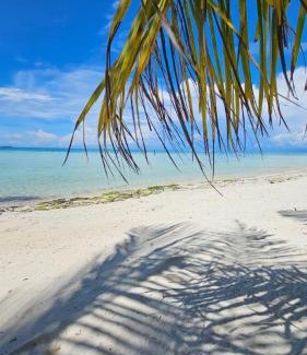 Gili Air Cabin | Mandala Beach Healing House or Rooms