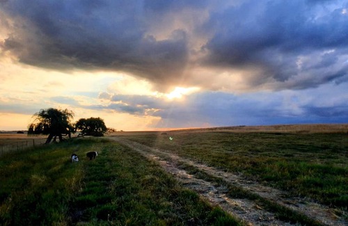 Govan Mbeki House | Mandlebe Farm Stay