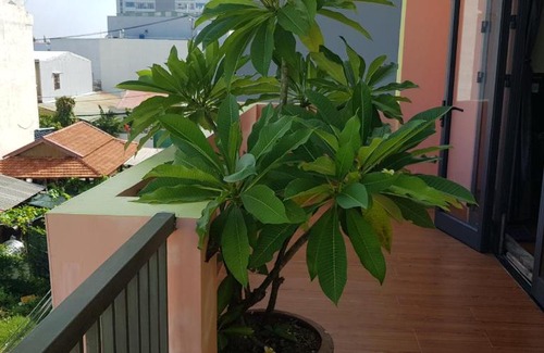 Ngu Hanh Son Apartment | MANGO MANGO HOTEL & APARTMENT