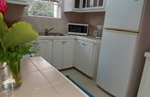 Oistins Condo | Mangoville Near Dover Beach