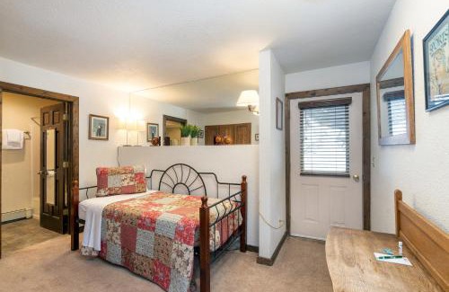 Telluride Hotel | Manitou Lodge 4 by Alpine Lodging Telluride