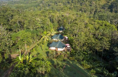 Ballena Bed & Breakfast | Manoas