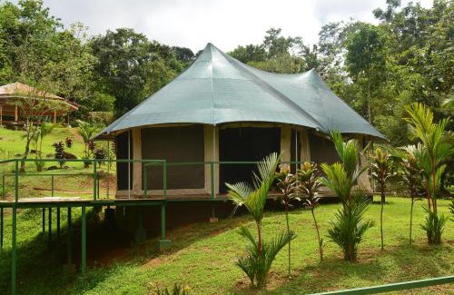 Ballena Bed & Breakfast | Manoas