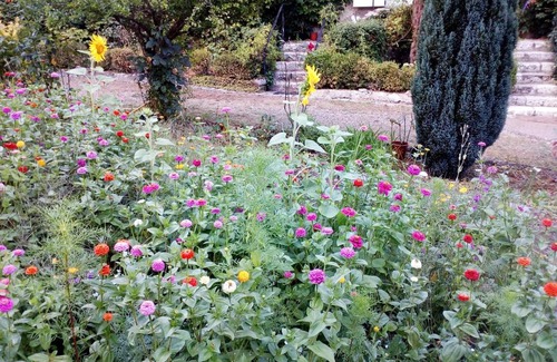 Blois Bed & Breakfast | Manoir Du Vieux Cedre