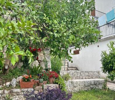 Dobrota Apartment | Mansarda apartment