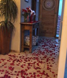Santa Teresa Bed & Breakfast | Mansion Aline