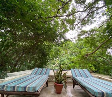 Diani Beach House | Manta Cottage - Forest view