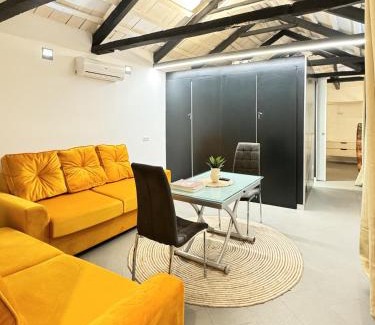Almagro House | MANZANO PALACE. Apartamentos con Terraza