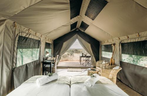 Musina Other | Mapesu Wilderness Tented Camp