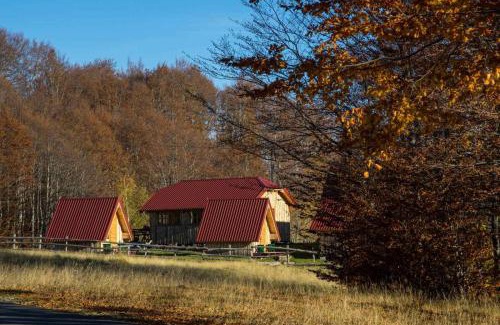 Zabljak Other | Maple bungalows