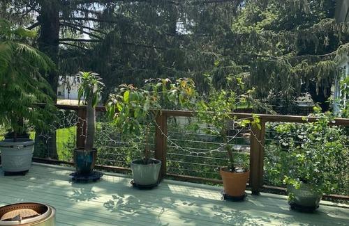 Viroqua House | Maple St. Eco Retreat-Free Daytime EV Charging!
