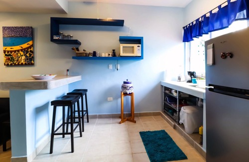 Colonia Andres Apartment | Mar - Fully Equipped Garden Apt - Bicycles/Snorkel - Corpus Christi PETS OK