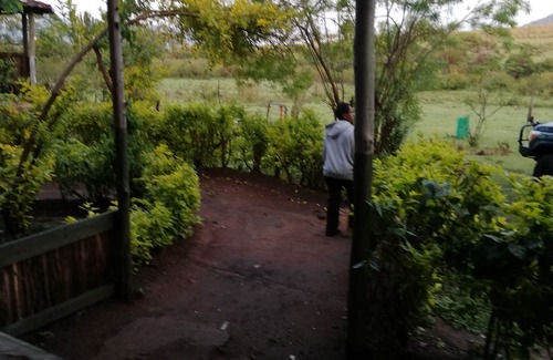 Ololaimutiek Cottage | Mara Forest camp