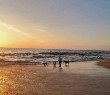 Mararikulam House | Marari Babu Homestay