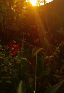 Mararikulam House | Marari Babu Homestay