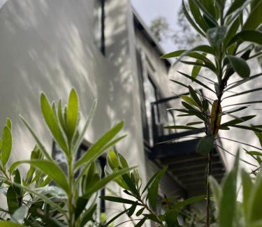 Margaret River Apartment | MARGARET FOREST RETREAT Apartment 129 - Located within Margaret Forest, in the heart of the town centre of Margaret River, spa apartment!
