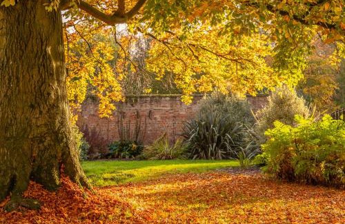 King's Lynn House | Margaretta House